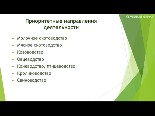 Приоритетные направления деятельности Молочное скотоводство Мясное скотоводство Козоводство Овцеводство Коневодство, птицеводство Кролиководство Свиноводство СЕМЕЙНАЯ ФЕРМА