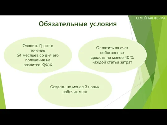 Обязательные условия Создать не менее 3 новых рабочих мест Оплатить за счет