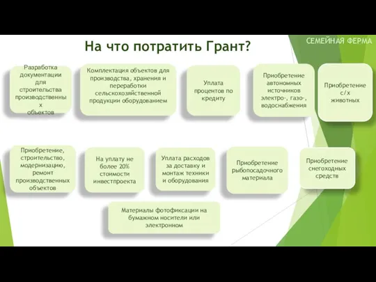 На что потратить Грант? Разработка документации для строительства производственных объектов Приобретение, строительство,