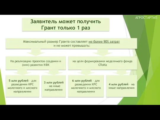 Заявитель может получить Грант только 1 раз Максимальный размер Гранта составляет не