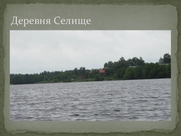 Деревня Селище