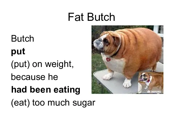 Fat Butch Butch put (put) on weight, because he had been eating (eat) too much sugar