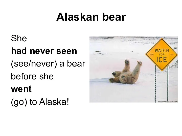 Alaskan bear She had never seen (see/never) a bear before she went (go) to Alaska!