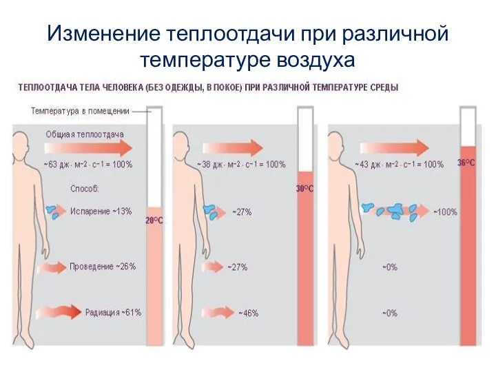 Изменение теплоотдачи при различной температуре воздуха