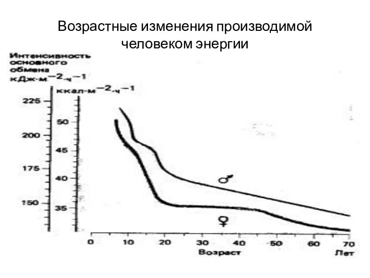 Возрастные изменения производимой человеком энергии