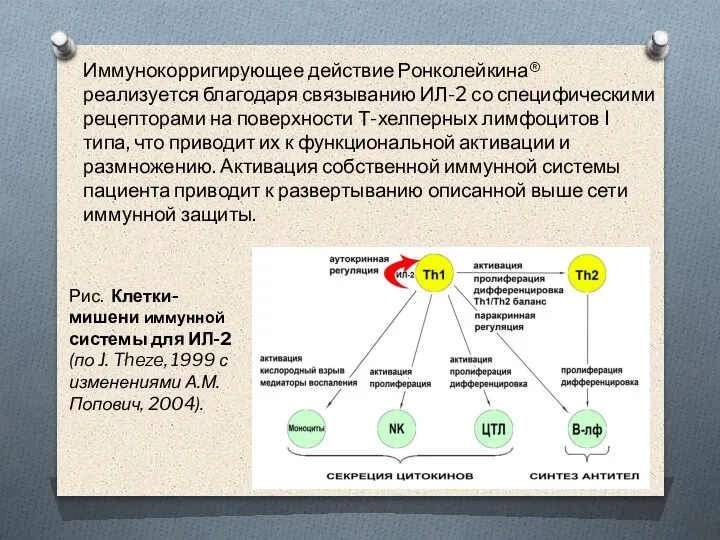 Иммунокорригирующее действие Ронколейкина® реализуется благодаря связыванию ИЛ-2 со специфическими рецепторами на поверхности