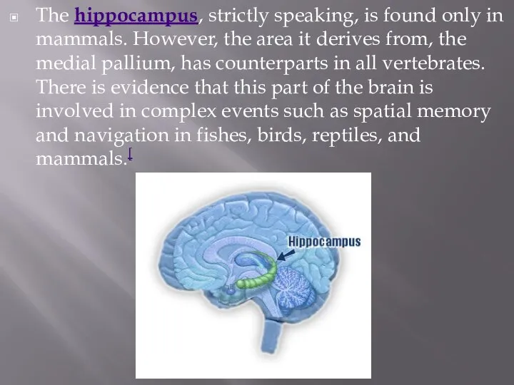 The hippocampus, strictly speaking, is found only in mammals. However, the area