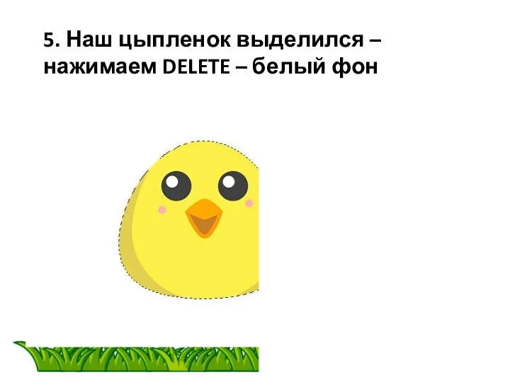 5. Наш цыпленок выделился – нажимаем DELETE – белый фон удалился.