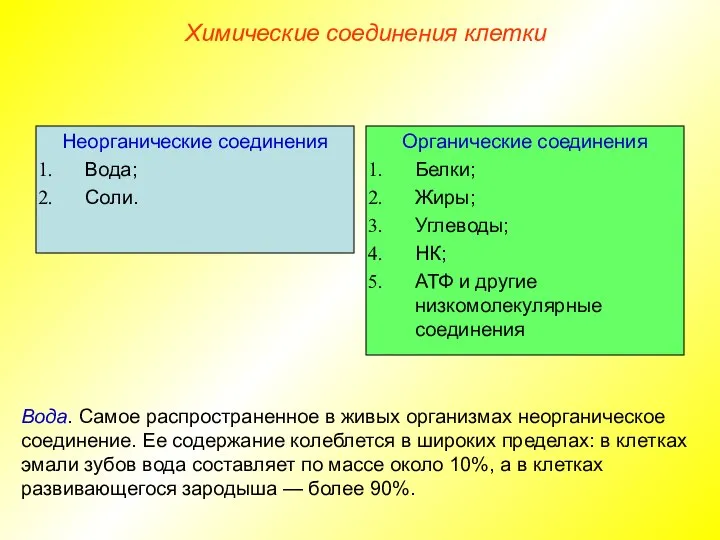 Неорганические соединения Вода; Соли. Органические соединения Белки; Жиры; Углеводы; НК; АТФ и