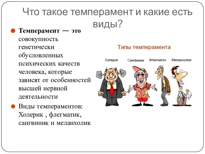 Что такое темперамент и какие есть виды? Темперамент — это совокупность генетически