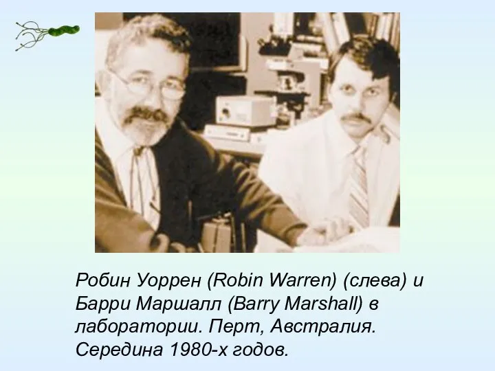 Робин Уоррен (Robin Warren) (слева) и Барри Маршалл (Barry Marshall) в лаборатории.