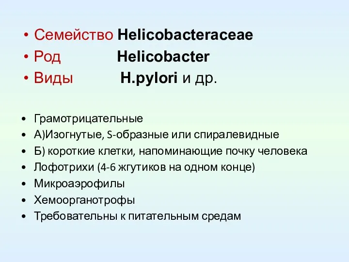 Семейство Helicobacteraceae Род Helicobacter Виды H.pylori и др. Грамотрицательные А)Изогнутые, S-образные или