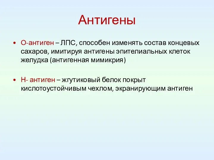 Антигены О-антиген – ЛПС, способен изменять состав концевых сахаров, имитируя антигены эпителиальных