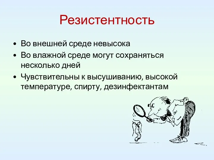 Резистентность Во внешней среде невысока Во влажной среде могут сохраняться несколько дней