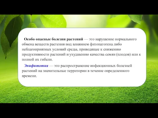 Особо опасные болезни растений — это нарушение нормального обмена веществ растения под