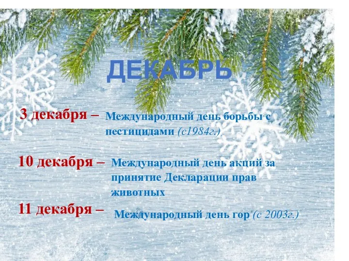 ДЕКАБРЬ 3 декабря – 10 декабря – 11 декабря – Международный день