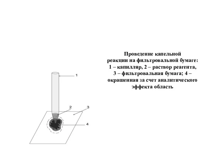 Проведение капельной реакции на фильтровальной бумаге: 1 – капилляр, 2 – раствор