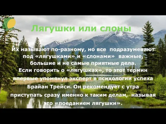 Лягушки или слоны Их называют по-разному, но все подразумевают под «лягушками» и