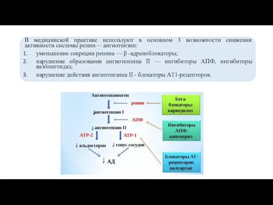 В медицинской практике используют в основном 3 возможности снижения активности системы ренин—