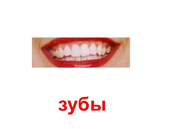 зубы Зубы.