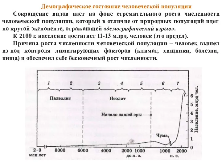 Демографическое состояние человеческой популяции Сокращение видов идет на фоне стремительного роста численности