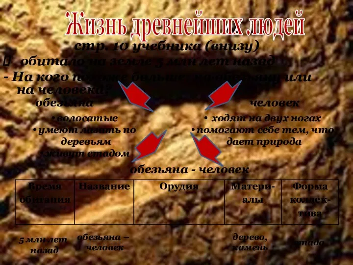 стр. 10 учебника (внизу) обитало на земле 5 млн лет назад -
