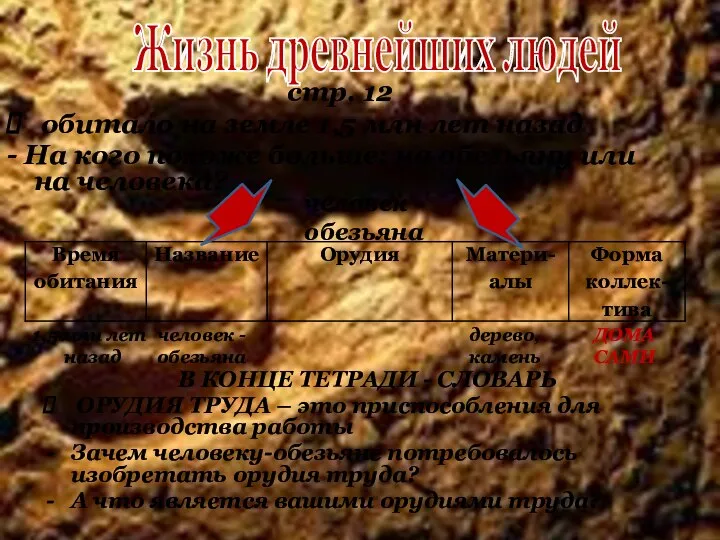 стр. 12 обитало на земле 1,5 млн лет назад - На кого