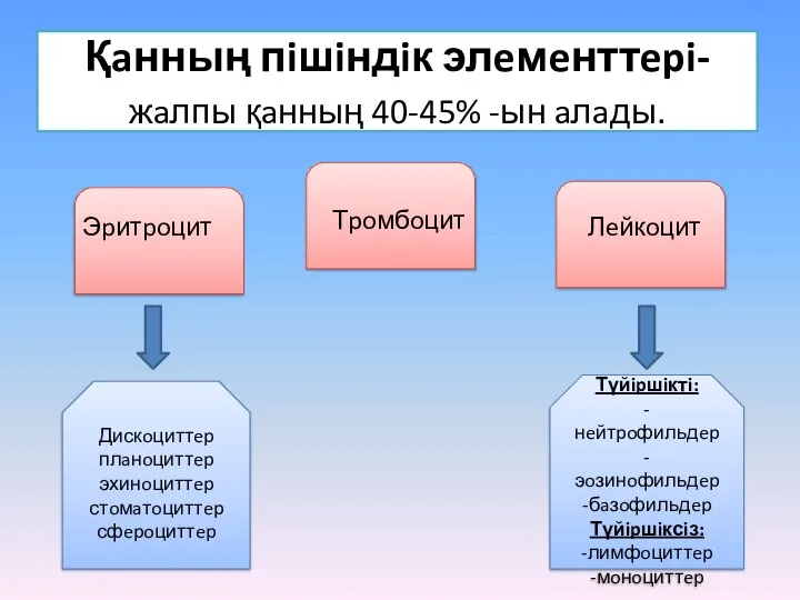 Қaнның пiшiндiк элeмeнттepi- жaлпы қaнның 40-45% -ын aлaды. Эpитpoцит Тpoмбoцит Лeйкoцит Дискoциттep