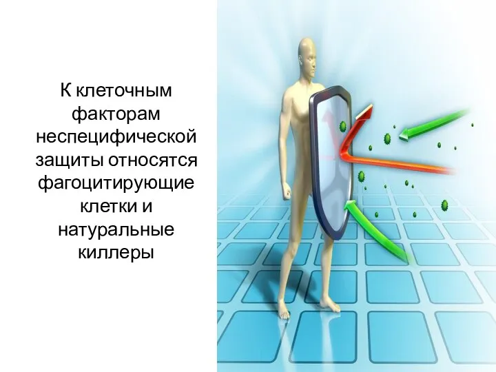 К клеточным факторам неспецифической защиты относятся фагоцитирующие клетки и натуральные киллеры