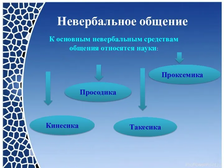 Невербальное общение К основным невербальным средствам общения относятся науки: Кинесика Просодика Такесика Проксемика