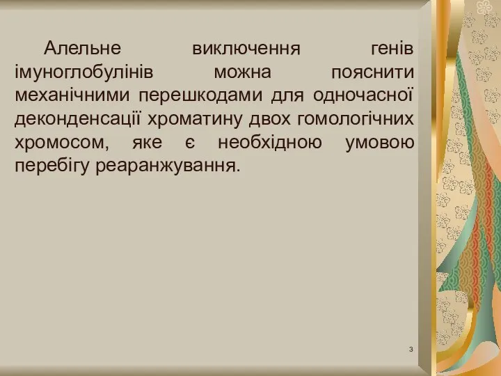 Алельне виключення генів імуноглобулінів можна пояснити механічними перешкодами для одночасної деконденсації хроматину