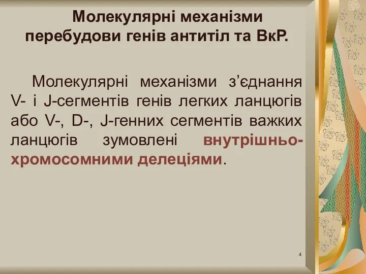 Молекулярні механізми перебудови генів антитіл та ВкР. Молекулярні механізми з’єднання V- і