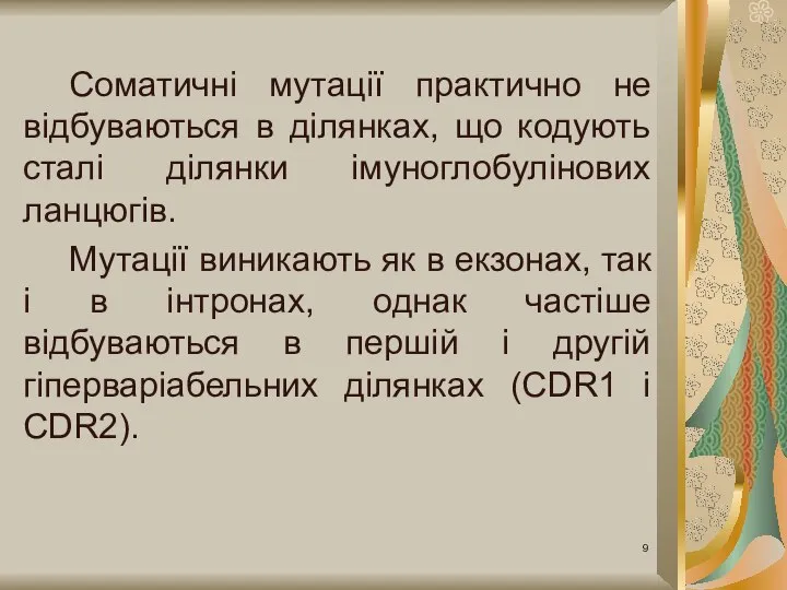 Соматичні мутації практично не відбуваються в ділянках, що кодують сталі ділянки імуноглобулінових