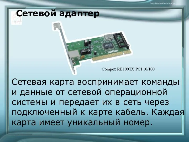 Сетевой адаптер Сетевая карта воспринимает команды и данные от сетевой операционной системы