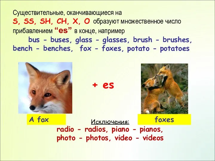 Существительные, оканчивающиеся на S, SS, SH, CH, X, O образуют множественное число