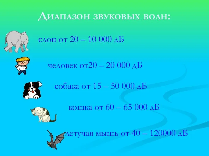 Диапазон звуковых волн: слон от 20 – 10 000 дБ человек от20