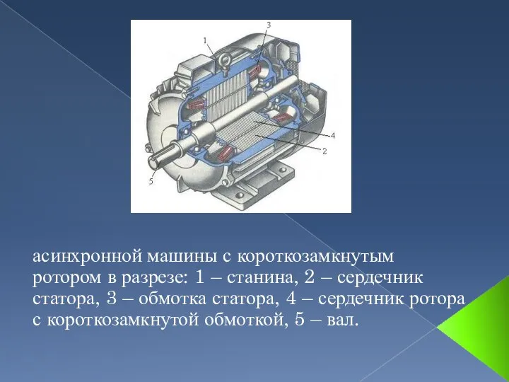 асинхронной машины с короткозамкнутым ротором в разрезе: 1 – станина, 2 –