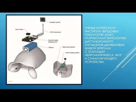 УЧЕНЫЕ КОРЕЙСКОГО ИНСТИТУТА ПЕРЕДОВЫХ ТЕХНОЛОГИЙ (KAIST) РАЗРАБОТАЛИ ТЕХНОЛОГИЮ ДИСТАНЦИОННОГО УПРАВЛЕНИЯ ДВИЖЕНИЯМИ ЖИВОЙ