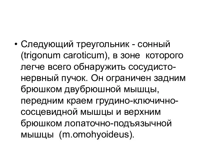 Следующий треугольник - сонный (trigonum саroticum), в зоне которого легче всего обнаружить