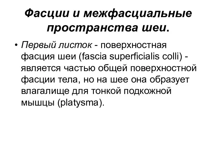 Фасции и межфасциальные пространства шеи. Первый листок - поверхностная фасция шеи (fascia