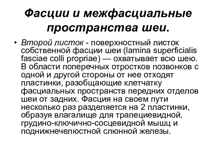 Фасции и межфасциальные пространства шеи. Второй листок - поверхностный листок собственной фасции