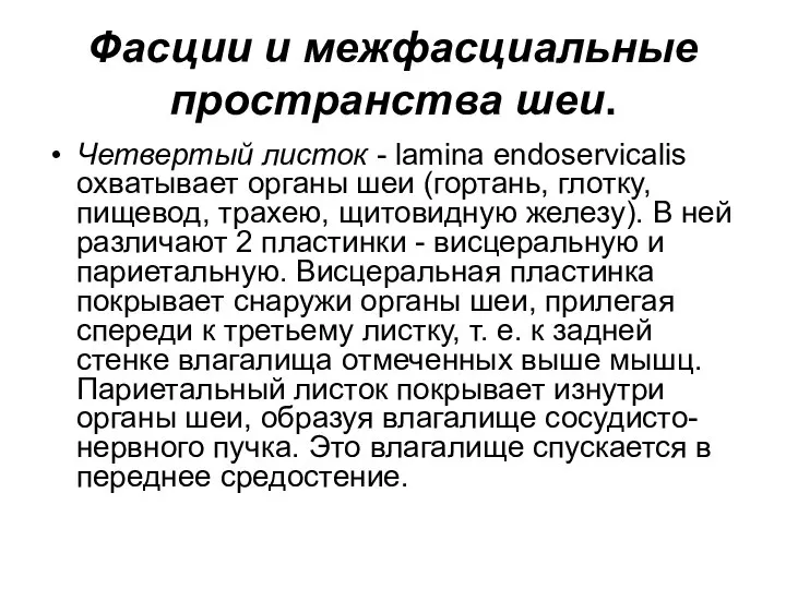 Фасции и межфасциальные пространства шеи. Четвертый листок - lamina endoservicalis охватывает органы