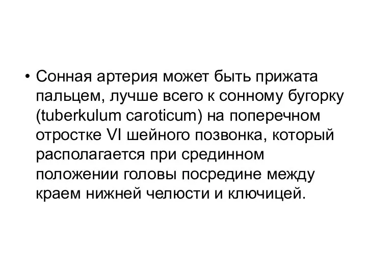 Сонная артерия может быть прижата пальцем, лучше всего к сонному бугорку (tuberkulum