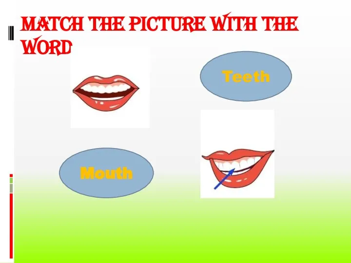 Match the picture with the word Teeth Mouth Mouth Teeth