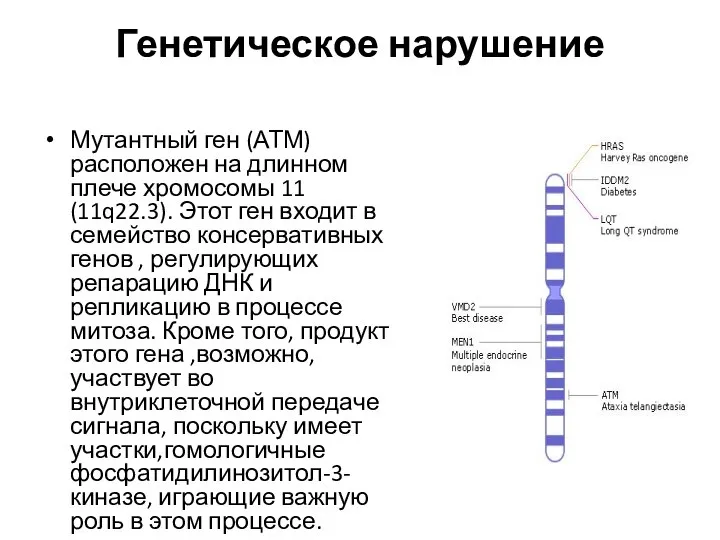 Генетическое нарушение Мутантный ген (АТМ) расположен на длинном плече хромосомы 11 (11q22.3).