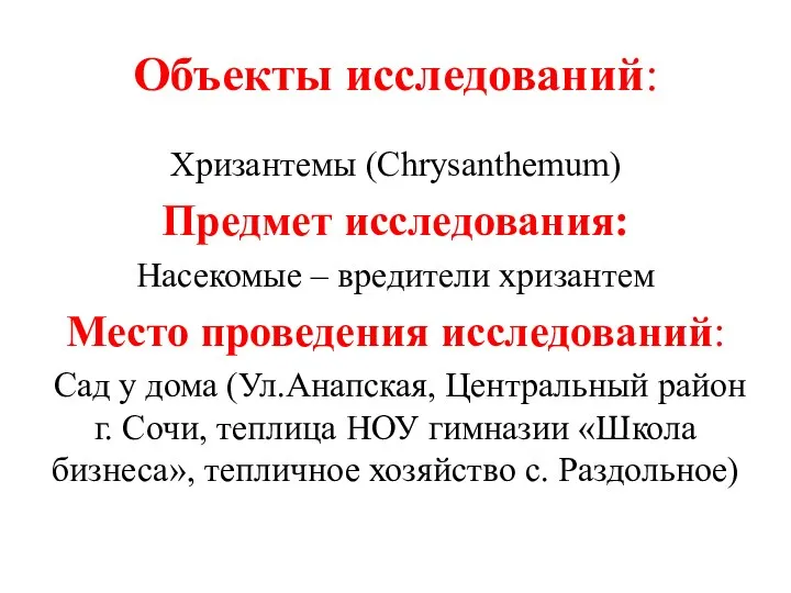 Объекты исследований: Хризантемы (Chrysanthemum) Предмет исследования: Насекомые – вредители хризантем Место проведения