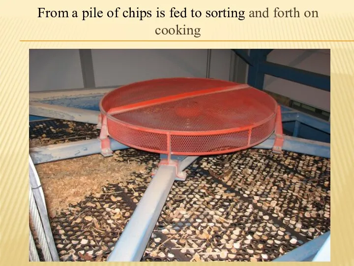 From a pile of chips is fed to sorting and forth on cooking
