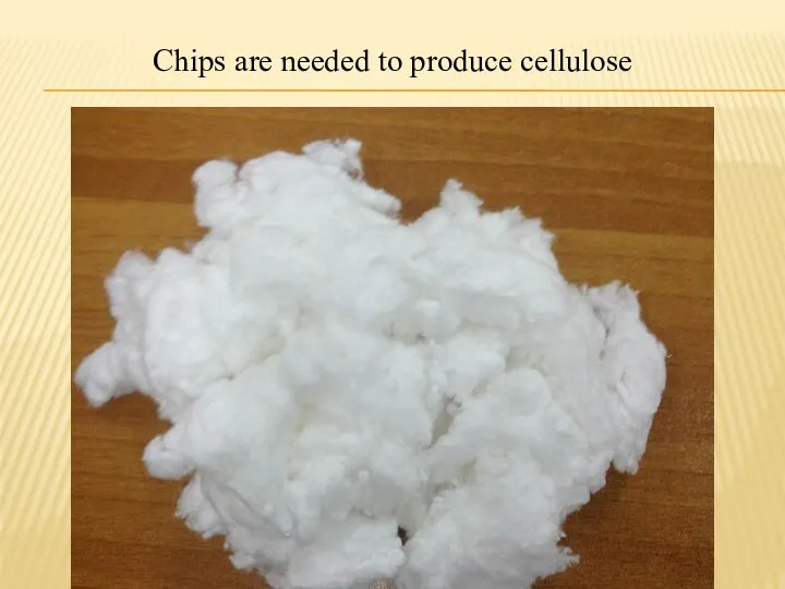 Chips are needed to produce cellulose