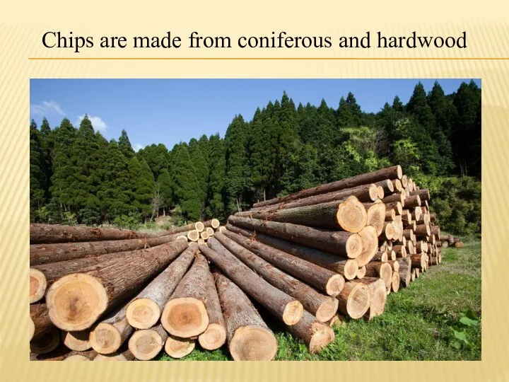 Сhips are made from coniferous and hardwood