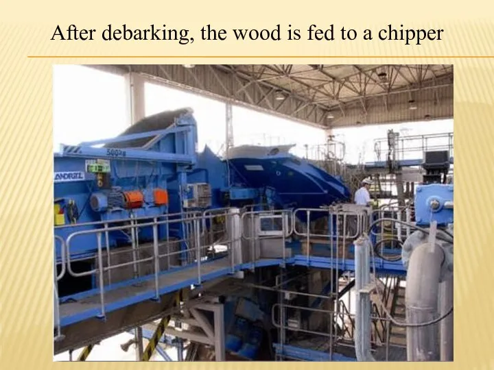 After debarking, the wood is fed to a chipper